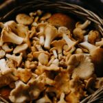 Home Mushrooms in a basket 150x150 - Home