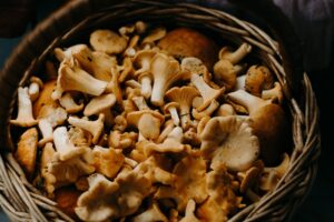 Mushrooms in a basket 300x200 - Mushrooms in a basket