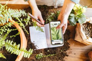 Taking notes of plants 2 300x200 - Taking notes of plants (2)