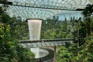 Indoor garden in Singapore 300x200 - Indoor garden in Singapore