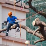 Home Man chainsawing tree branches 150x150 - Home