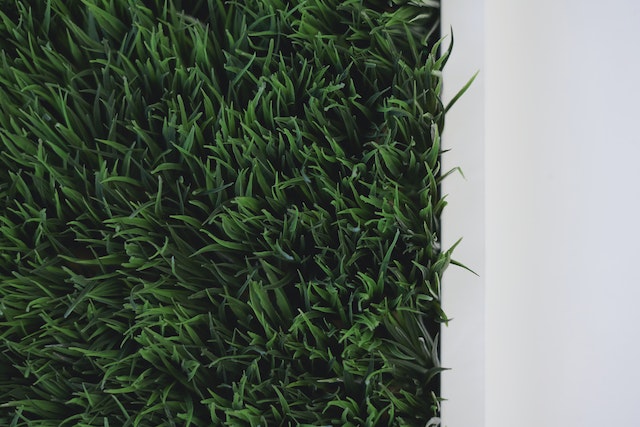 pexels scott webb 1890420 - How to Maintain a Healthy Artificial Lawn