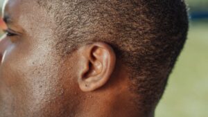 close up photo of an ear 300x169 - close up photo of an ear