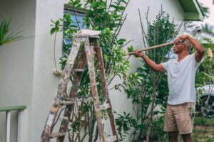 man painting a house 300x200 - man painting a house