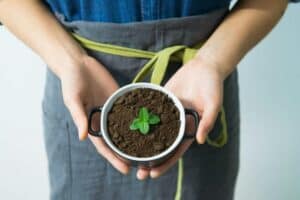 person holding cup with green plant 300x200 - person holding cup with green plant.jpg