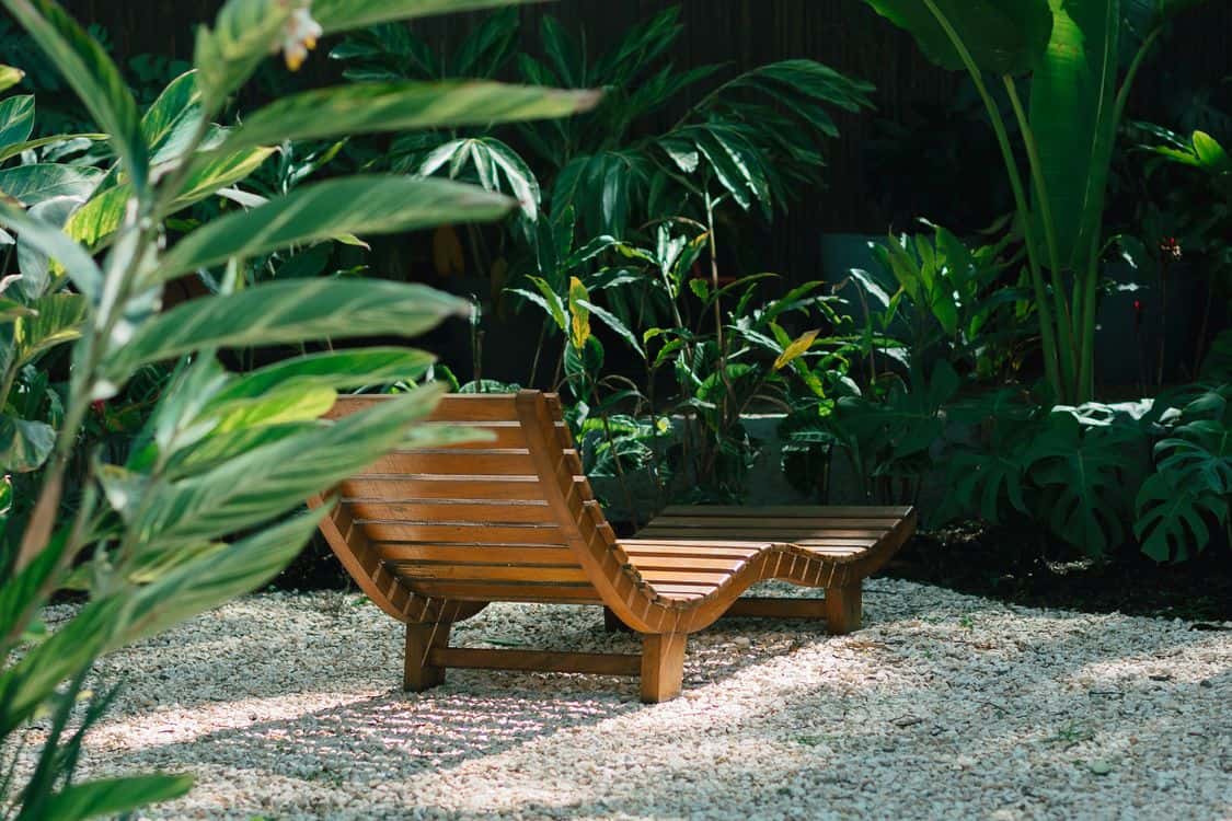 garden with wooden seat - How the 2026 Water Supply Picture Is Reshaping Tropical Yards Across San Diego County